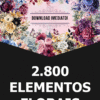 2.800 Elementos Florais Fundo Transparente