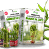 Passo a Passo Lucky Bamboo (Completo)