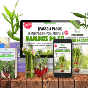 Passo a Passo Lucky Bamboo (Completo)