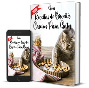 Guia Receitas Biscoitos Caseiros Para Gatos